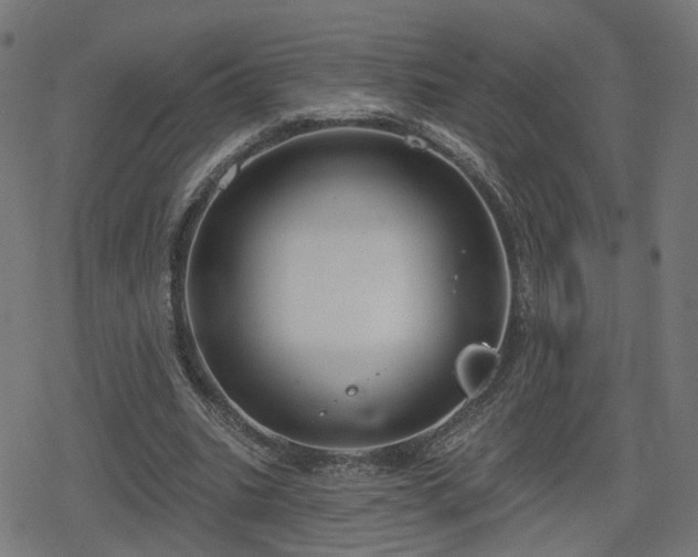 X0000078290535200611101111