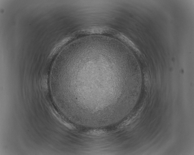 X0000078290537200611101111