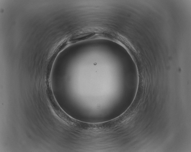 X0000078290538200611101111