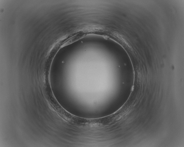 X0000078290539200611101111