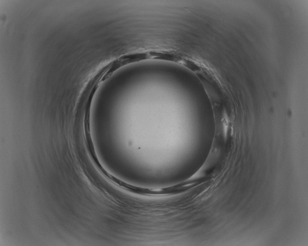 X0000078290540200611101111