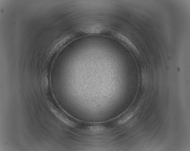 X0000078290541200611101111