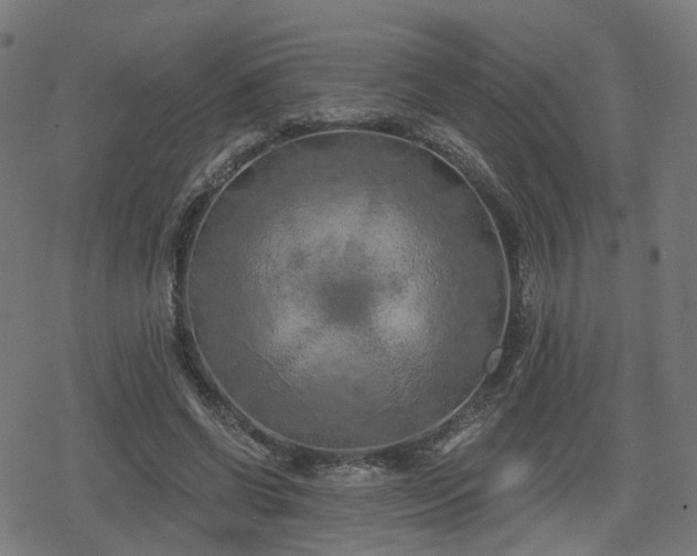 X0000078290542200611101111