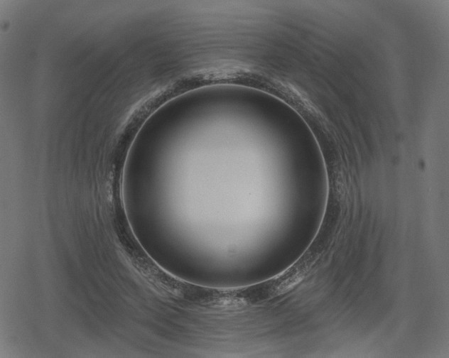 X0000078290543200611101111