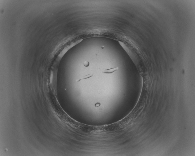 X0000078290544200611101111