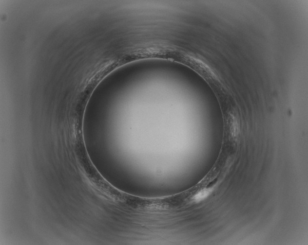 X0000078290546200611101111