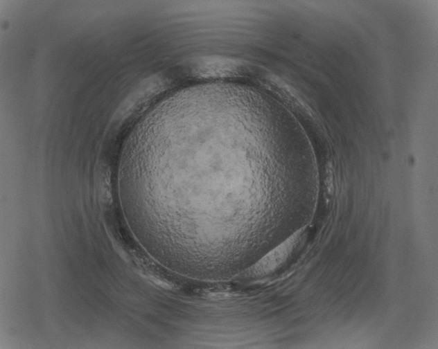 X0000078290547200611101111