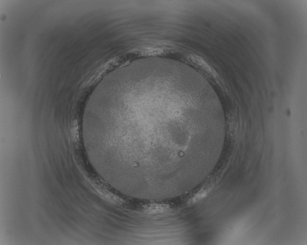 X0000078290549200611101111