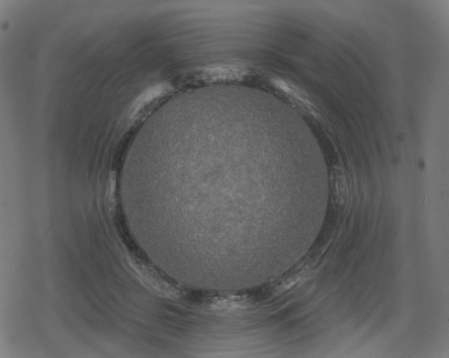 X0000078290550200611101111