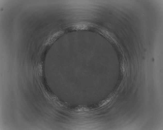 X0000078290551200611101111