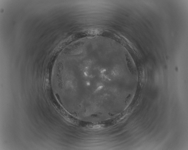 X0000078290553200611101111