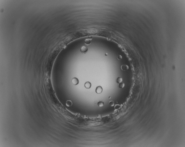 X0000078290555200611101111