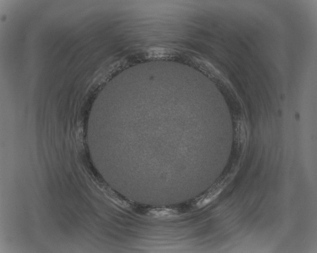 X0000078290557200611101111