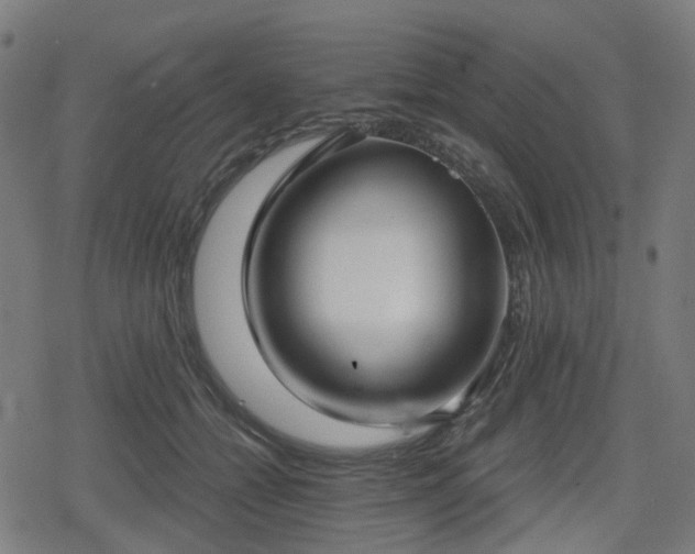 X0000078290558200611101111