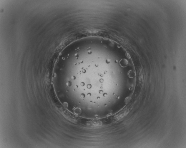 X0000078290559200611101111