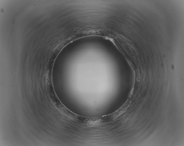 X0000078290560200611101111