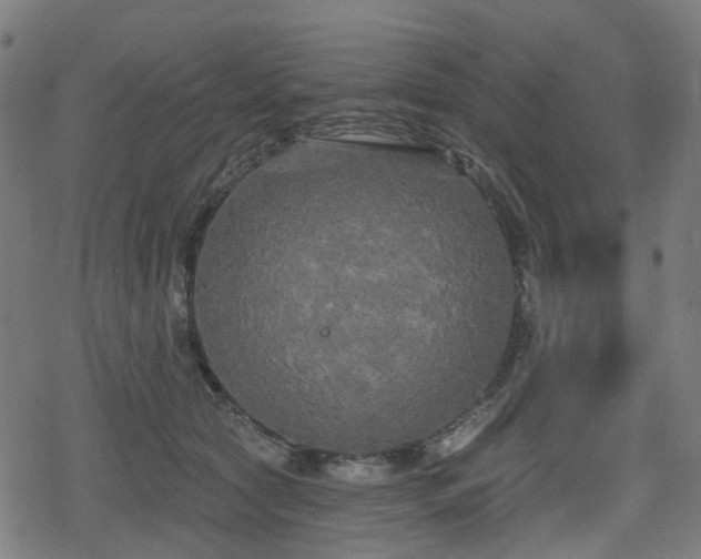 X0000078290561200611101111