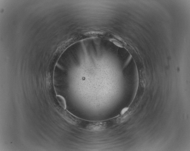 X0000078290563200611101111