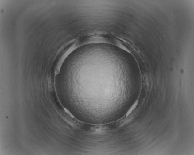 X0000078290564200611101111