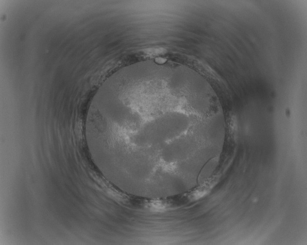 X0000078290565200611101111