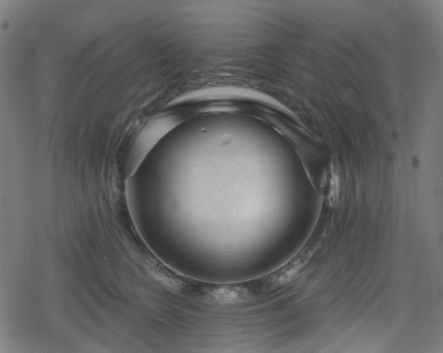 X0000078290566200611101111