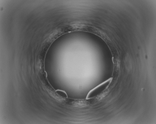 X0000078290567200611101111