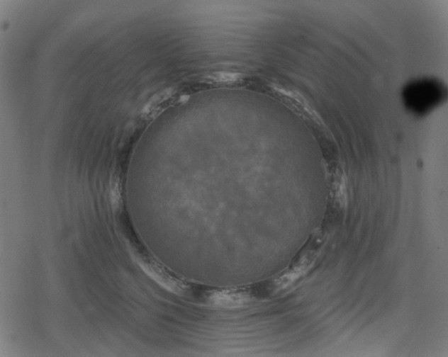 X0000078290568200611101111