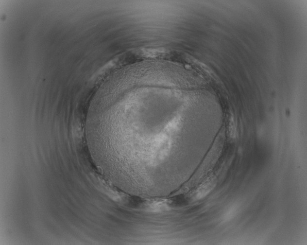 X0000078290569200611101111