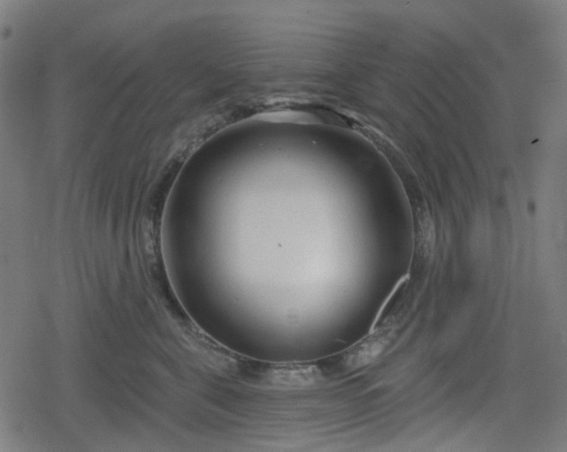 X0000078290571200611101111