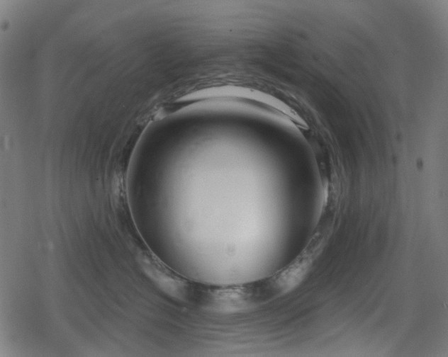 X0000078290574200611101111