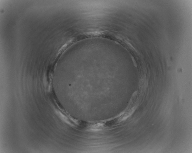 X0000078290576200611101111