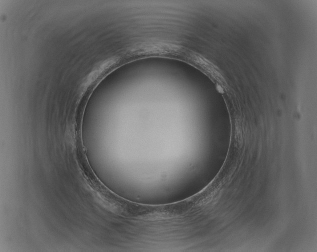 X0000078290578200611101110