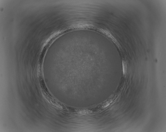 X0000078290579200611101110