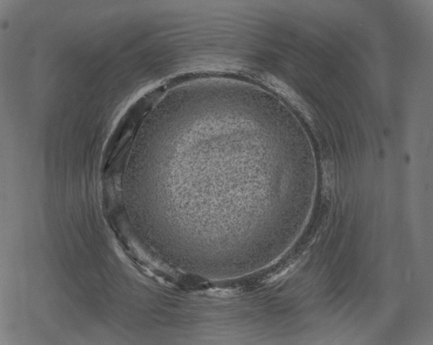 X0000078290580200611101110