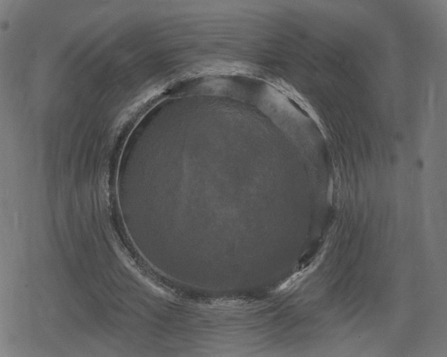 X0000078290581200611101110