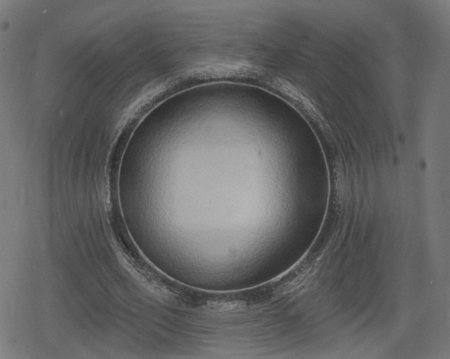 X0000078290582200611101110