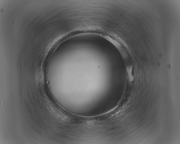 X0000078290584200611101110