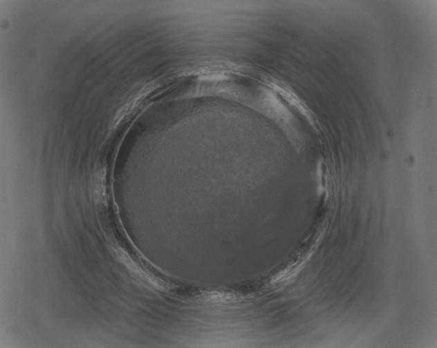 X0000078290585200611101110