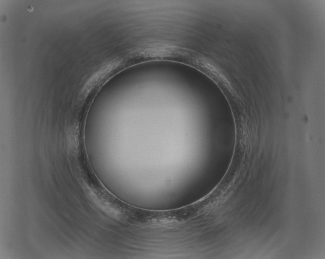 X0000078290586200611101110