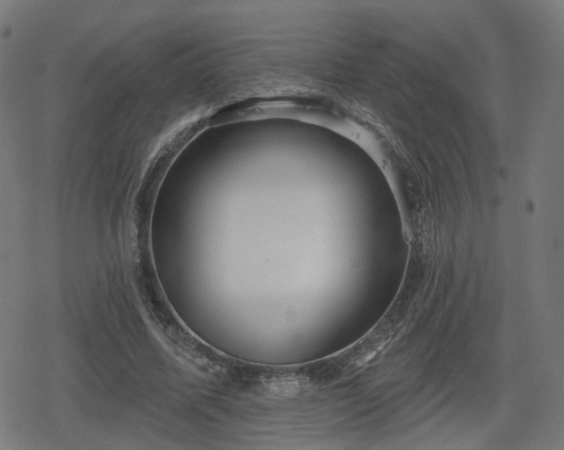 X0000078290587200611101110