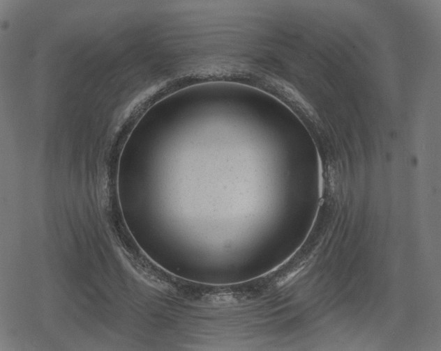 X0000078290588200611101110