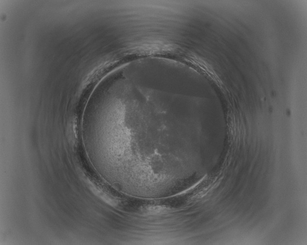 X0000078290590200611101110