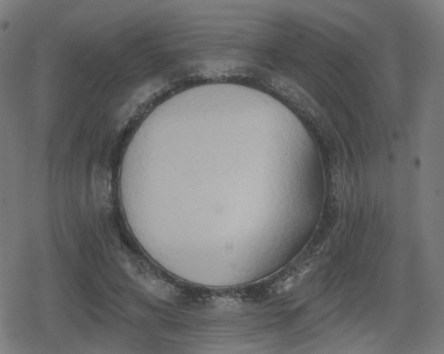 X0000078290592200611101110