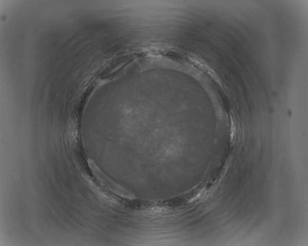 X0000078290593200611101110