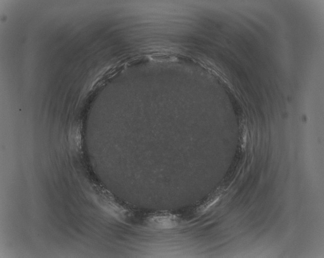 X0000078290595200611101110