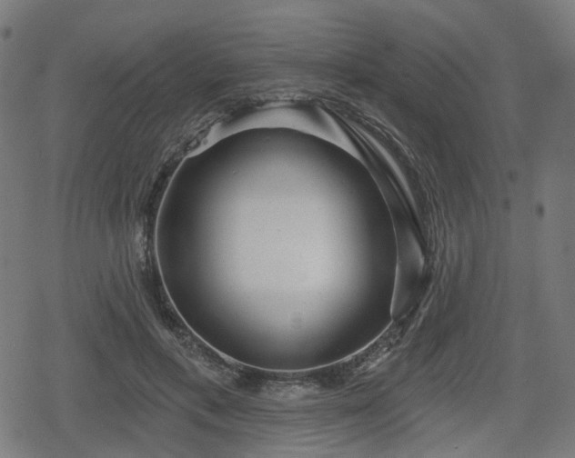 X0000078290597200611101110