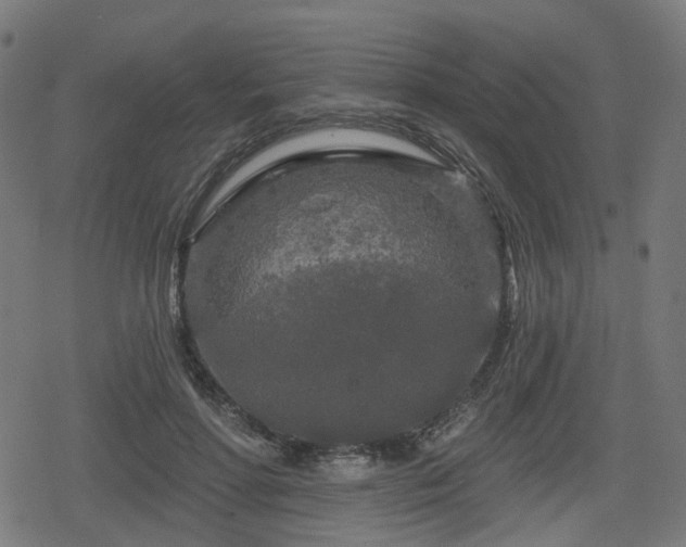 X0000078290598200611101110