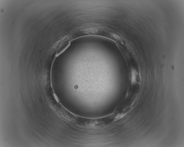 X0000078290600200611101110