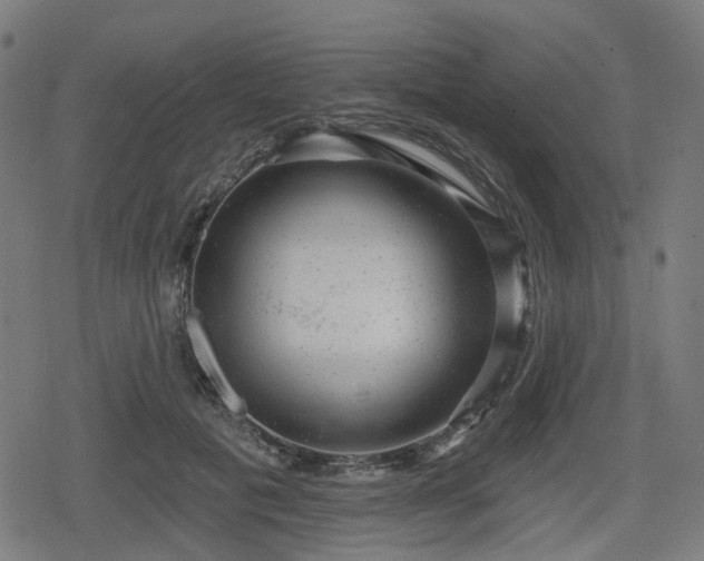 X0000078290601200611101110