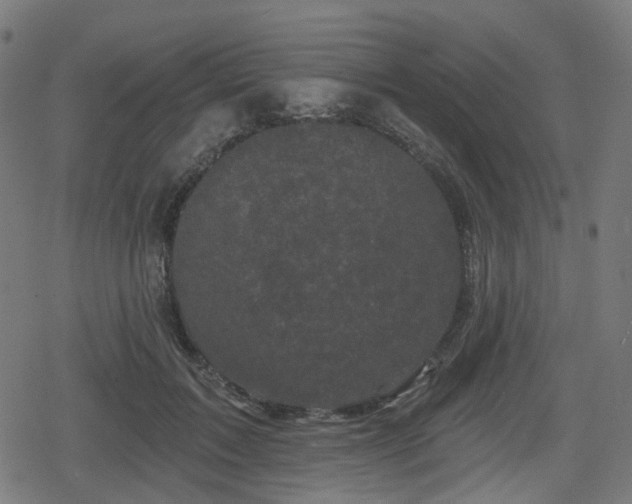 X0000078290603200611101110